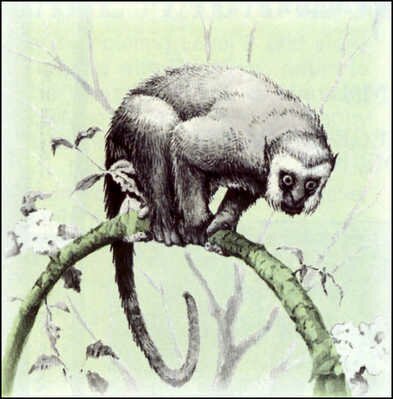 Pulsa aqu para ver la imagen a tamao completo